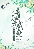 崩㱻ү